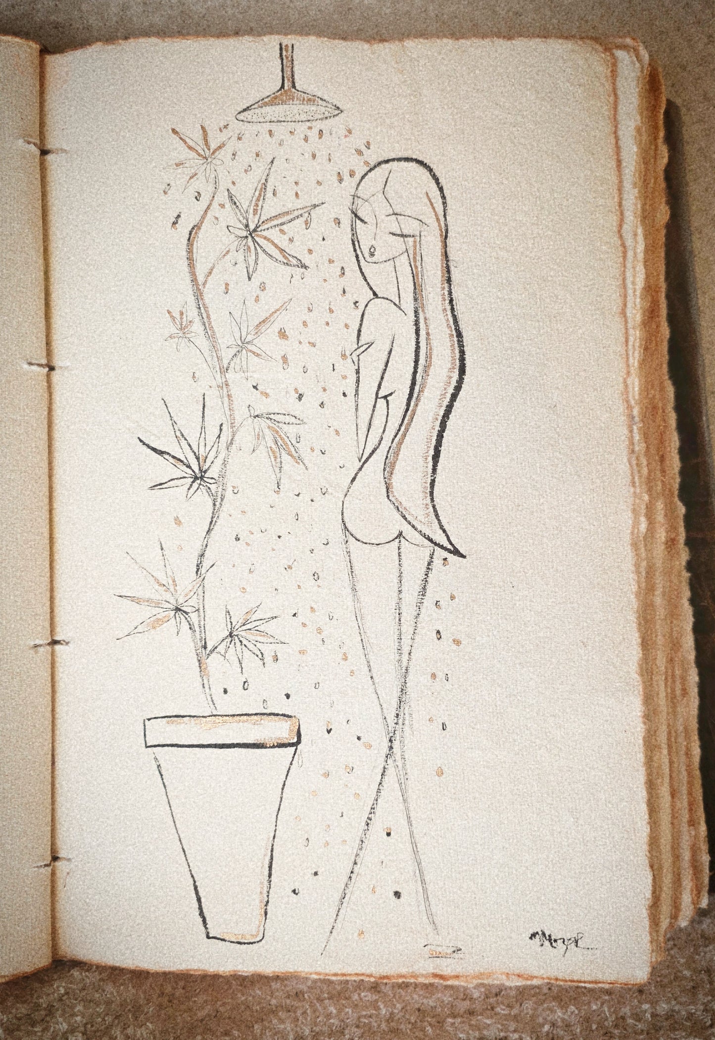 Sketch No 4
