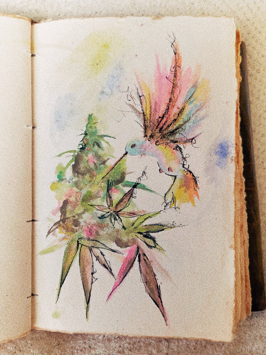 Sketch No 7