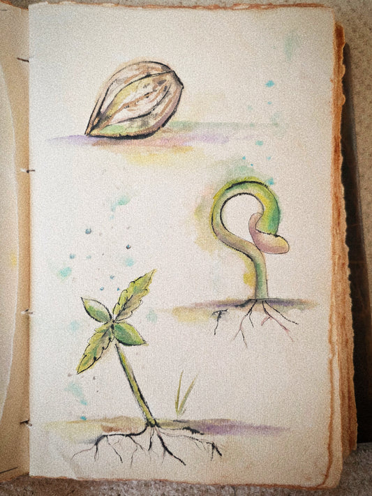 Sketch No 5